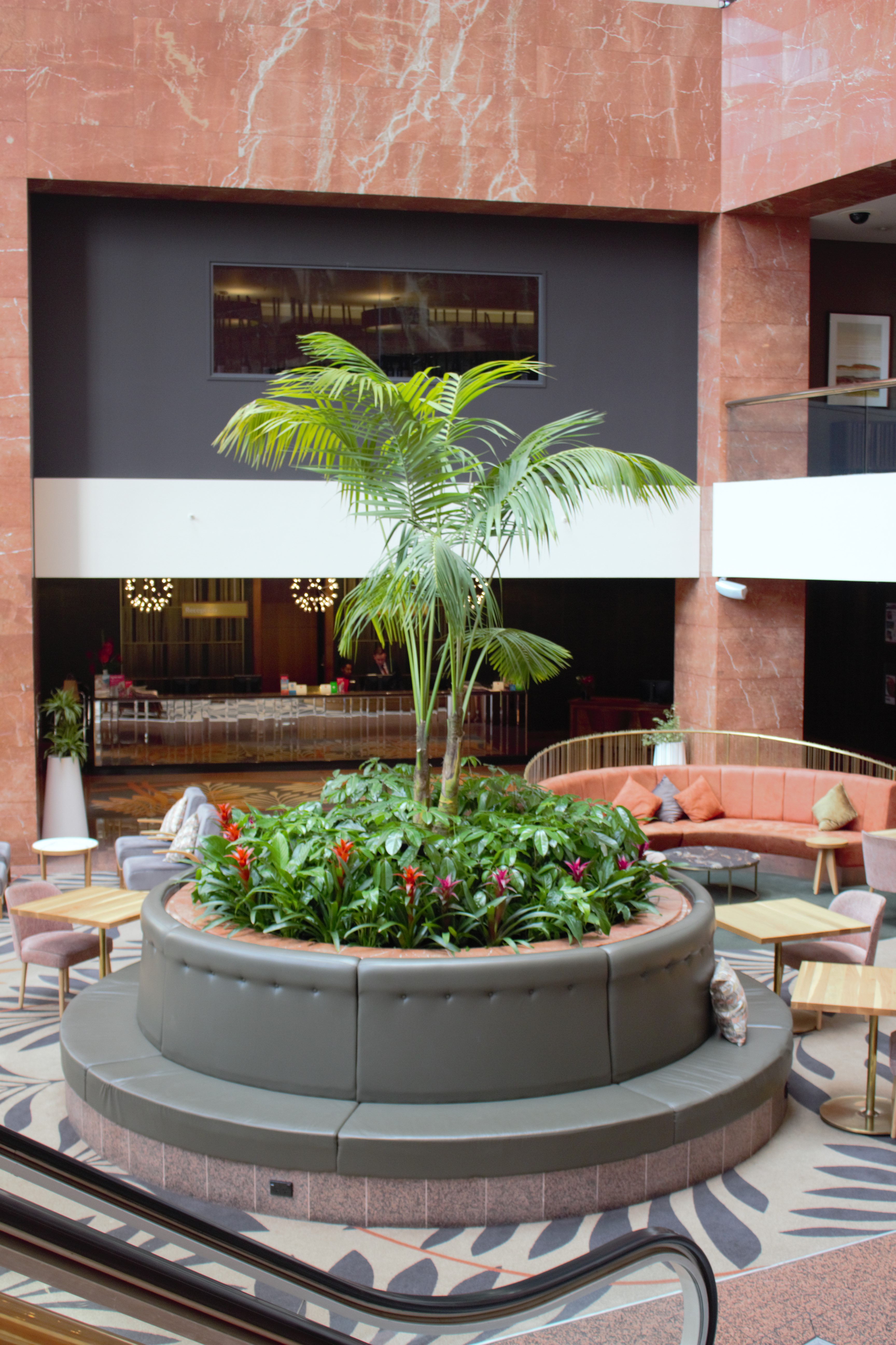租赁植物设计指南(图3) IKP5_IFP2_IBR1___Kentia_Palm__Schefflera_Amate_and_Bromeliad_in_Atrium_Garden___Grand_Millenium_hotel